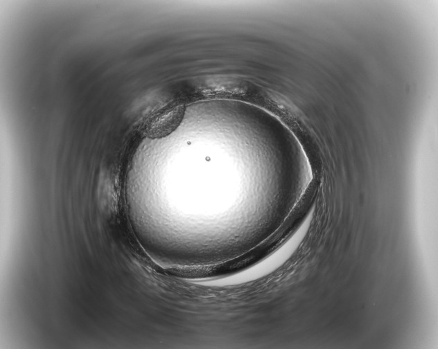 X0000085310915200703161449