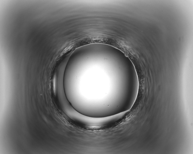 X0000085310916200703161449