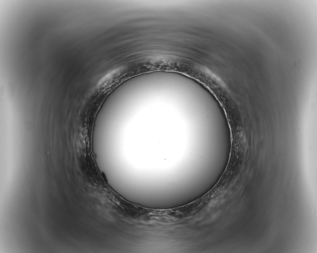 X0000085310918200703161449