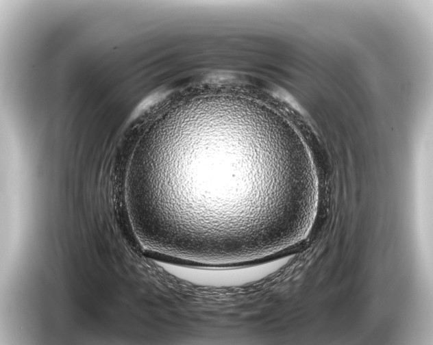 X0000085310919200703161449