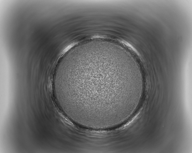 X0000085310921200703161449