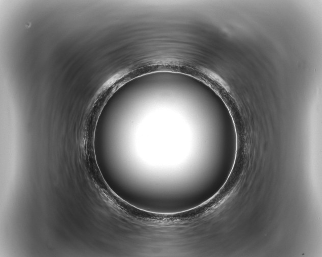 X0000085310922200703161449