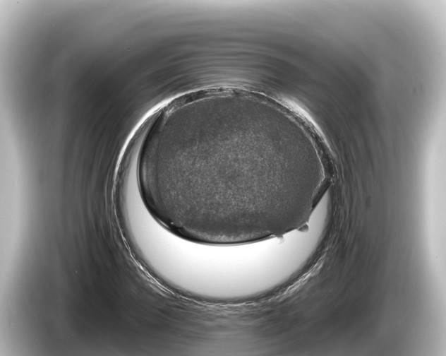 X0000085310924200703161449