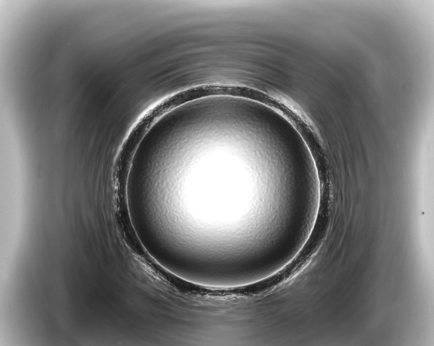 X0000085310926200703161449