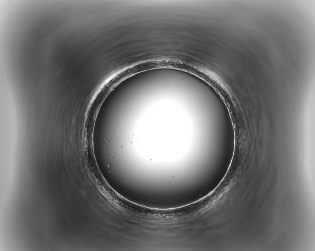 X0000085310927200703161449