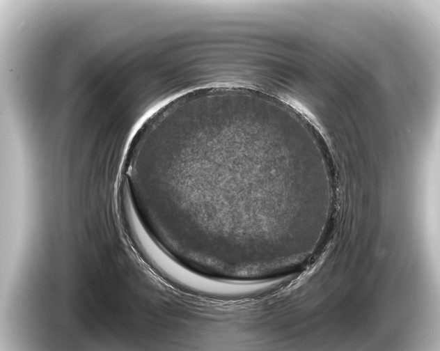 X0000085310928200703161449