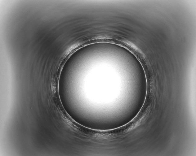 X0000085310929200703161449