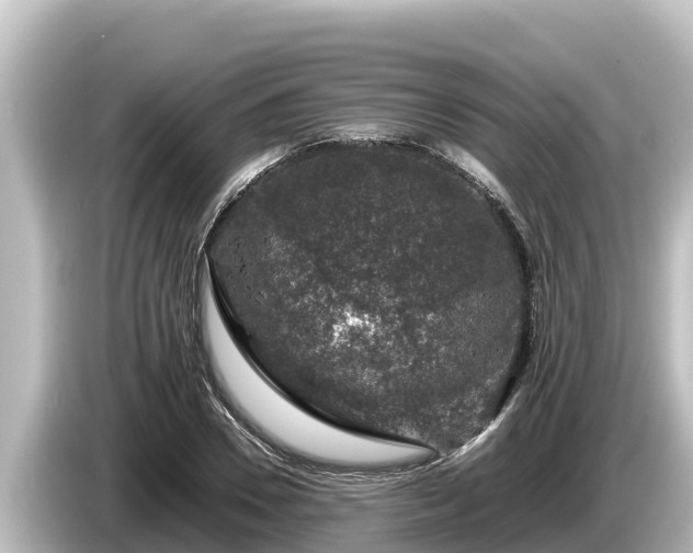 X0000085310930200703161449