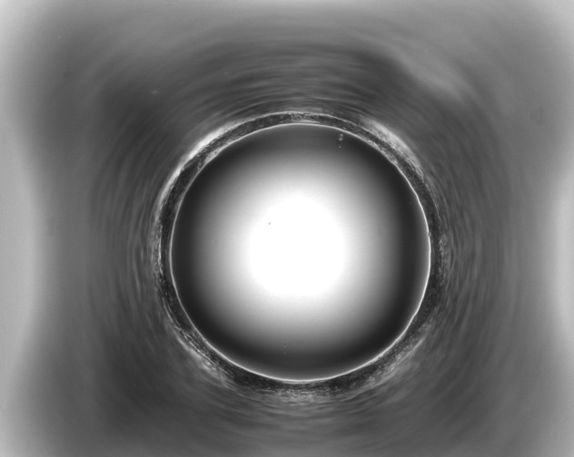 X0000085310931200703161449
