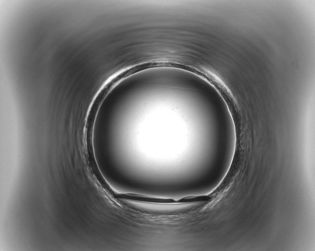 X0000085310932200703161449