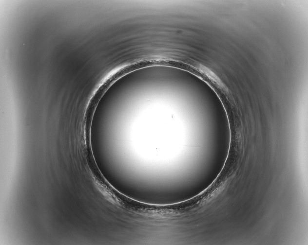 X0000085310934200703161449