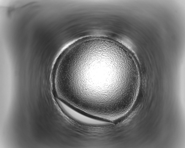 X0000085310935200703161449