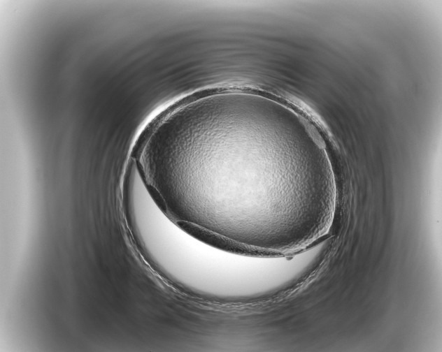 X0000085310936200703161449