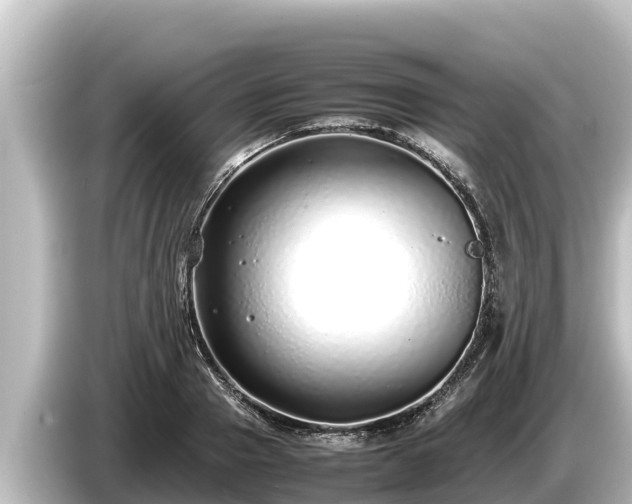 X0000085310937200703161449