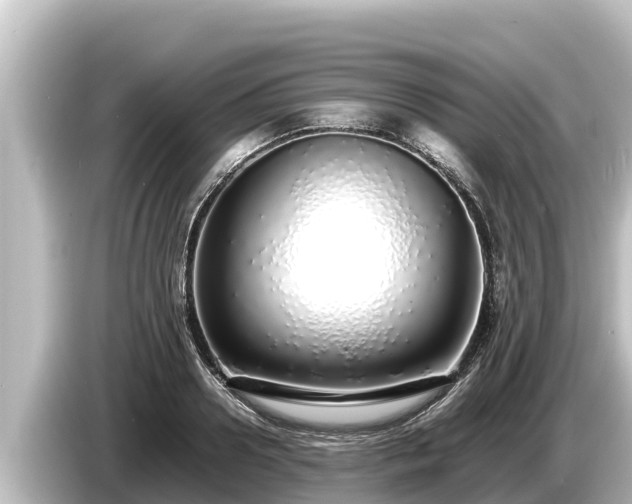 X0000085310938200703161449
