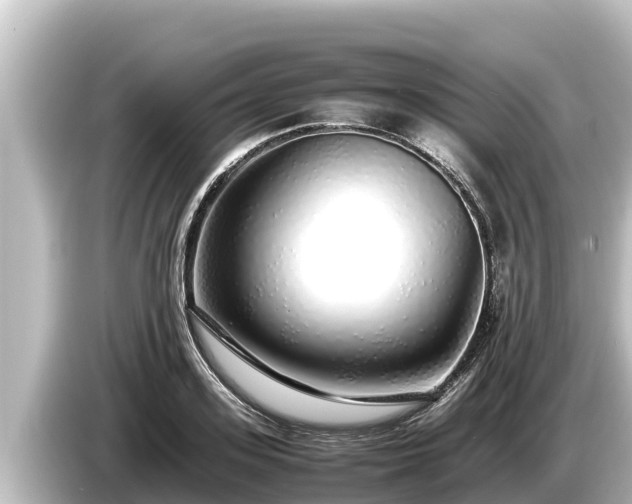 X0000085310939200703161449