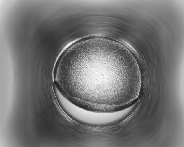 X0000085310940200703161449