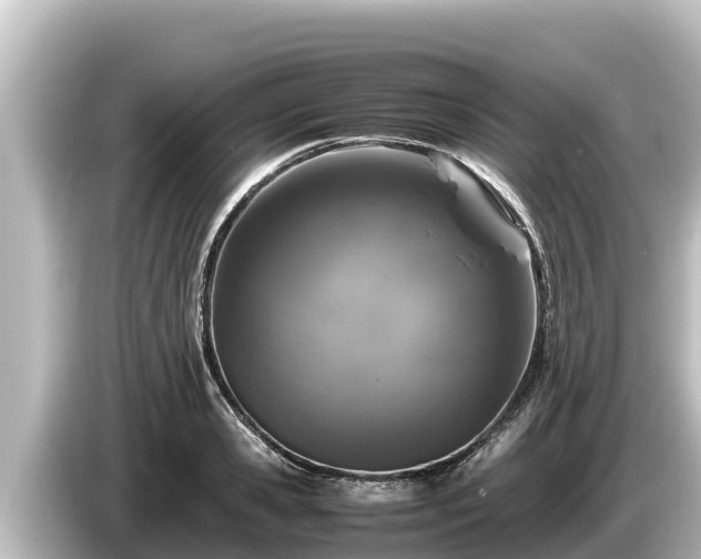 X0000085310941200703161449