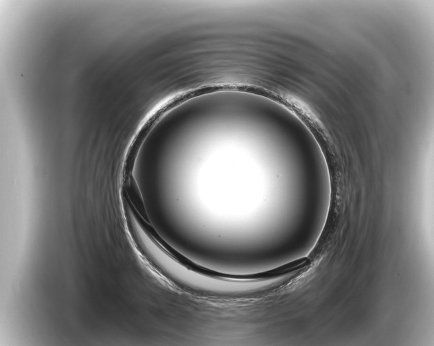 X0000085310942200703161449