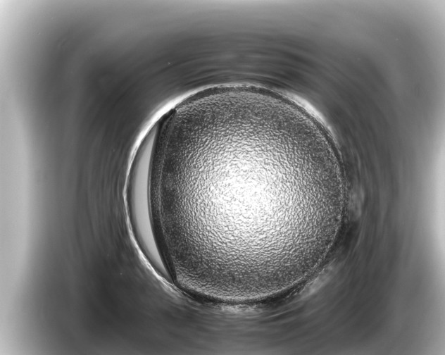X0000085310943200703161449