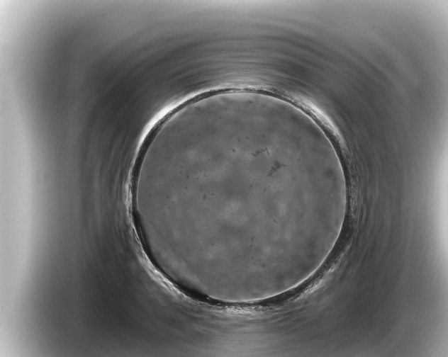X0000085310944200703161449