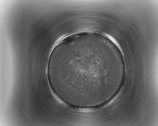 X0000085310946200703161449