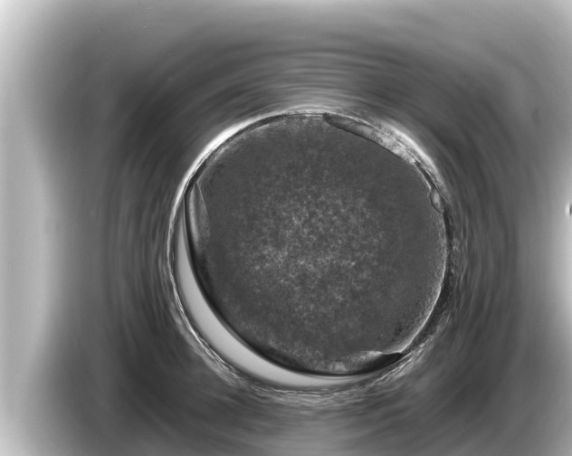 X0000085310948200703161449
