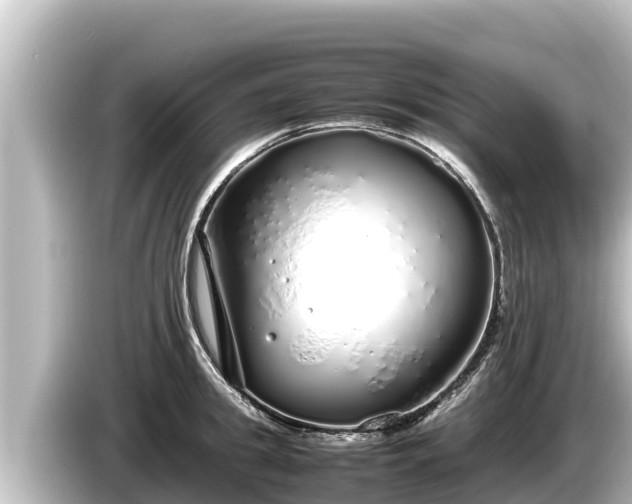 X0000085310949200703161449