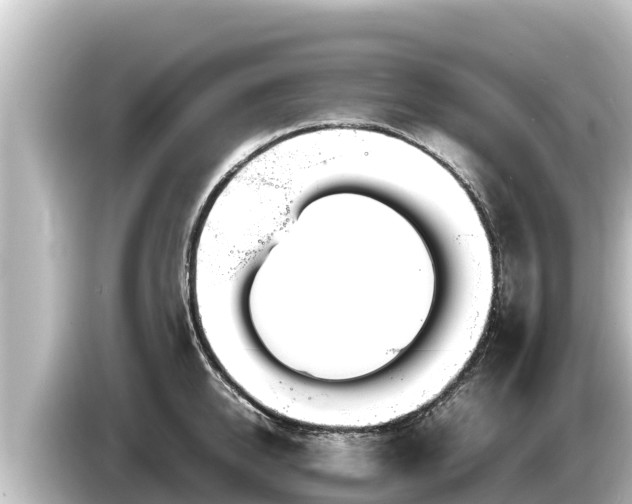X0000085310950200703161449
