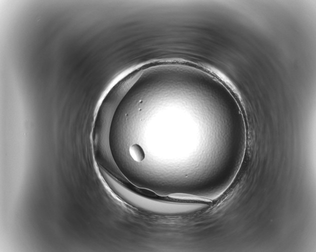X0000085310951200703161449