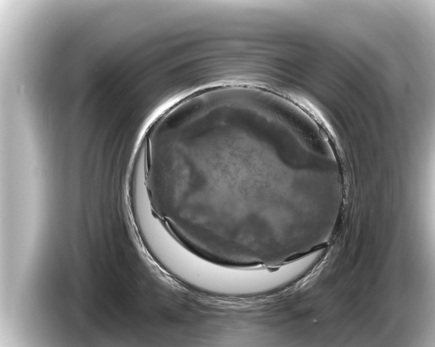 X0000085310952200703161449