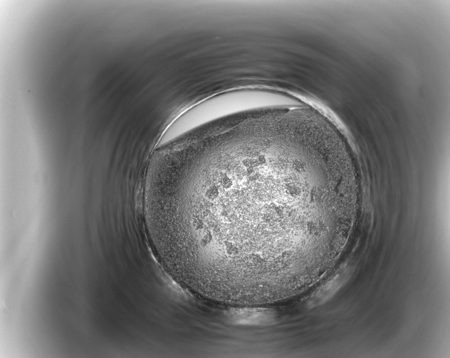 X0000085310953200703161449