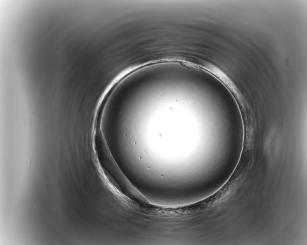X0000085310955200703161449