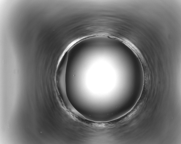 X0000085310956200703161449