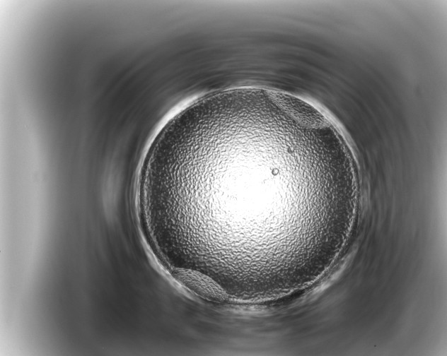 X0000085310957200703161449