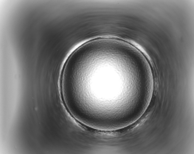 X0000085310959200703161449