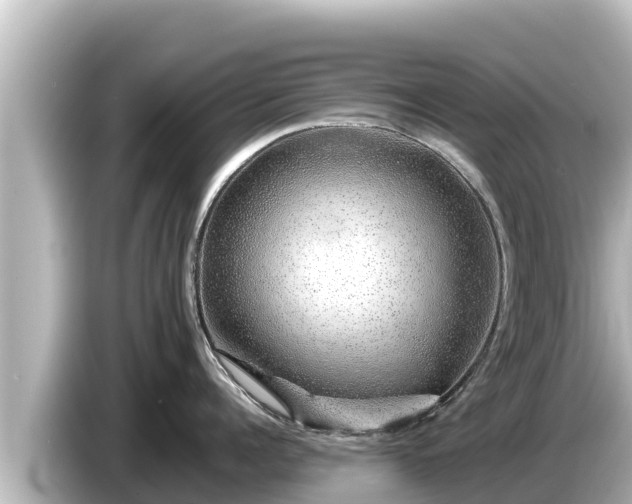 X0000085310960200703161449