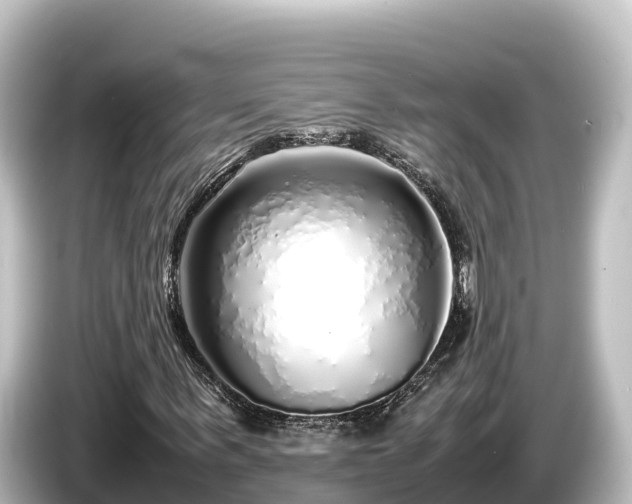X0000085310963200703161449