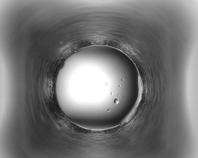 X0000085310964200703161449