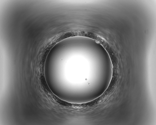 X0000085310965200703161449