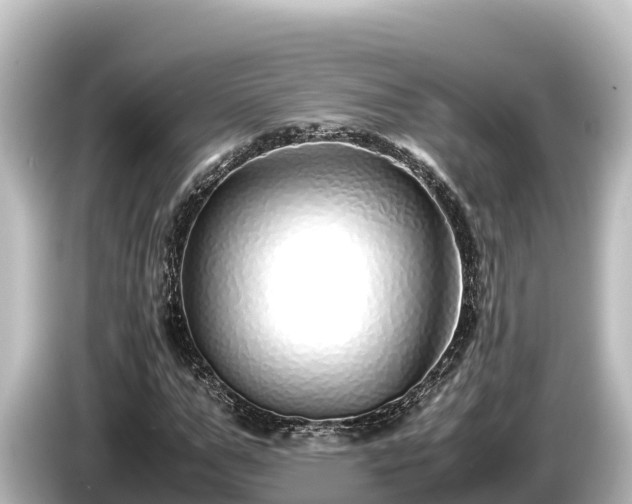 X0000085310967200703161449