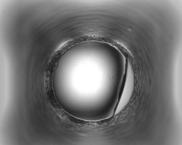 X0000085310968200703161449