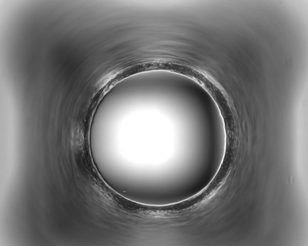 X0000085310969200703161449