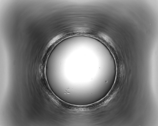 X0000085310970200703161449