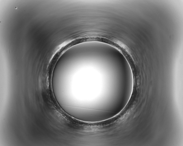 X0000085310973200703161449
