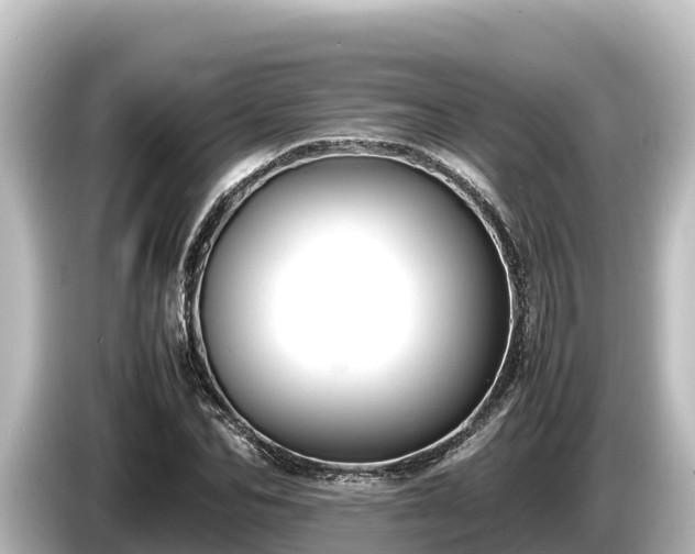 X0000085310974200703161449