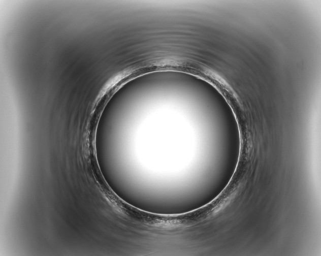 X0000085310978200703161449