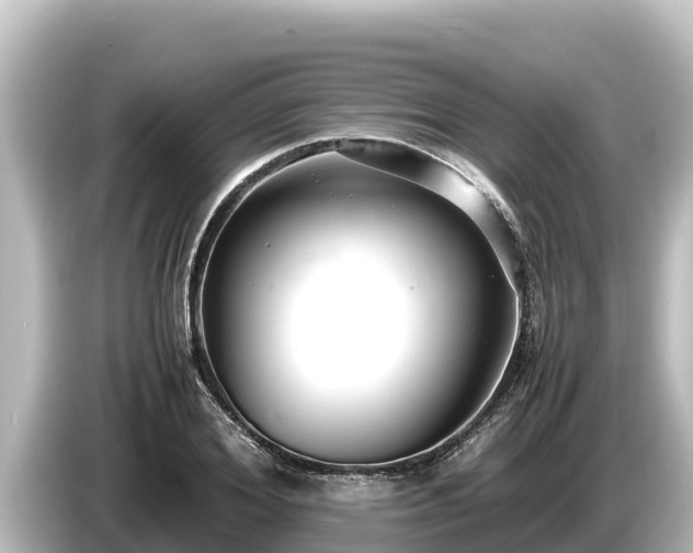 X0000085310980200703161449