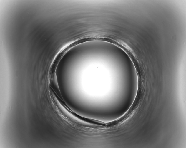 X0000085310981200703161449