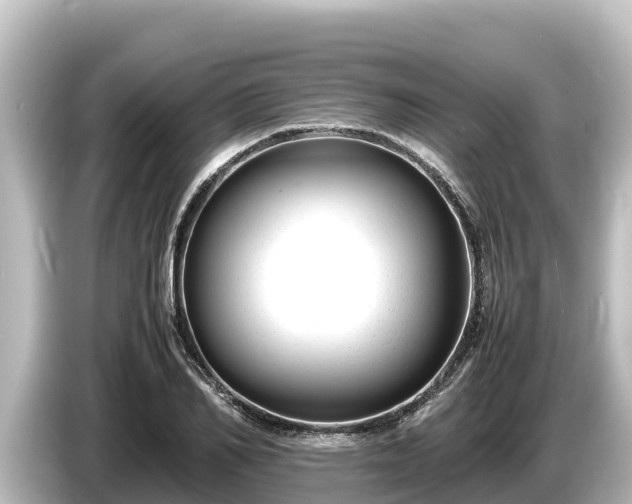 X0000085310982200703161449